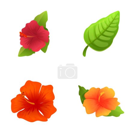 Hibiscus icons set cartoon vector. Blooming red hibiscus with green leaf. Decorative exotic plant