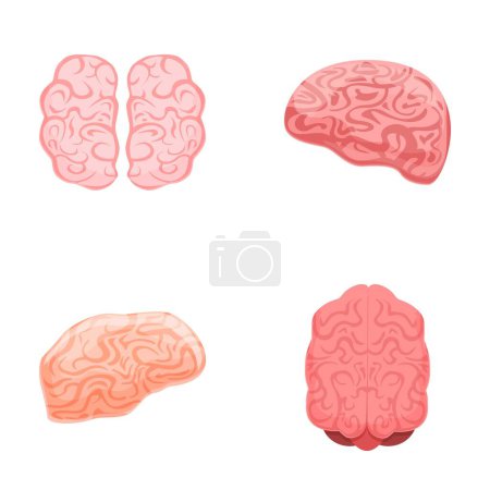 Ilustración de Cerebro iconos conjunto vector de dibujos animados. Hemisferio izquierdo y derecho del cerebro humano. Fisiología, neurobiología - Imagen libre de derechos