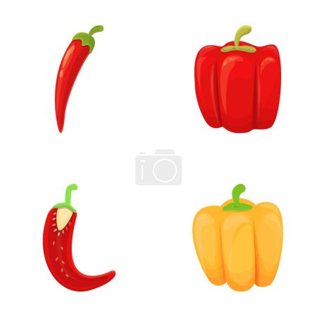 Diverses icônes de poivre mis vecteur de dessin animé. Piment doux et piquant. Produits alimentaires, légumes