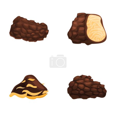 Truffle icons set cartoon vector. Delicacy mushroom black truffle. Rare and expensive vegetable