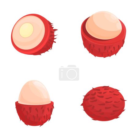Red rambutan icons set cartoon vector. Whole and half of fresh tropical fruit. Natural food, healthy nutrition