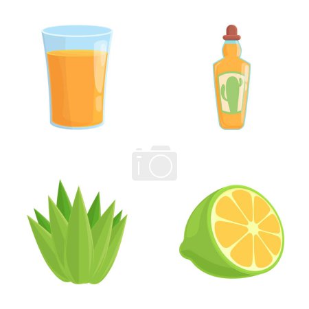 Iconos de tequila conjunto vector de dibujos animados. Bebida tradicional de agave fuerte. Alcohol mexicano