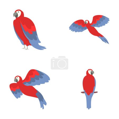Papageiensymbole setzen Cartoon-Vektor. Schöner bunter Papagei-Ara. Tropischer Vogel