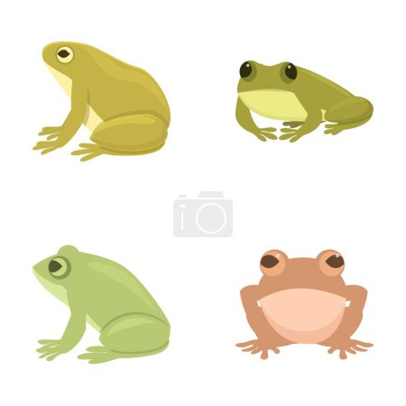 Frog icons set cartoon vector. Various cartoon cute frog. Amphibian reptile