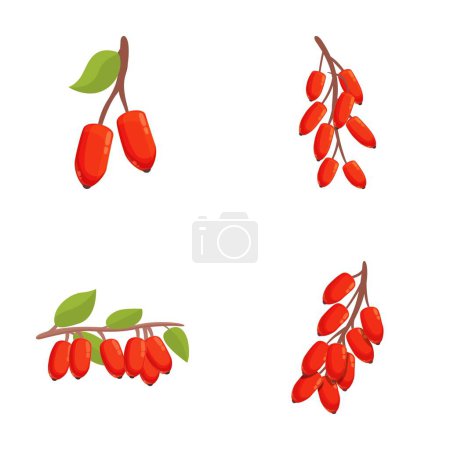 Illustration for Barberry icons set cartoon vector. Ripe red barberry on branch. Organic food - Royalty Free Image