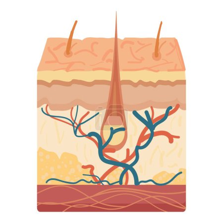 Educational illustration showing various soil layers and plant root system