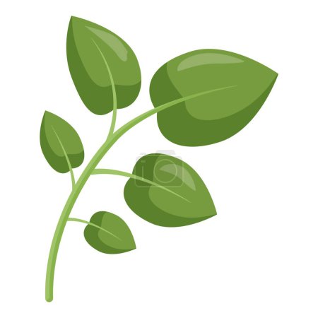 Illustration vectorielle de feuilles vert vif et frais sur un fond blanc simple et propre. Représentation de la croissance organique et naturelle du feuillage végétal dans un environnement botanique