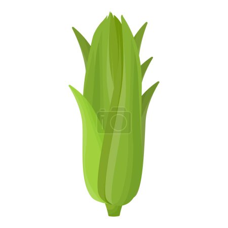 Illustration vectorielle d'une épi de maïs vert mûr à cosse