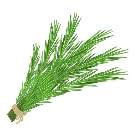 Illustration for Vector illustration of a green rosemary sprig, tied with a twine bow, isolated on a white background - Royalty Free Image