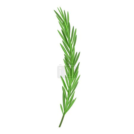 Illustration for Single sprig of green rosemary herb, presented on a clean white background - Royalty Free Image