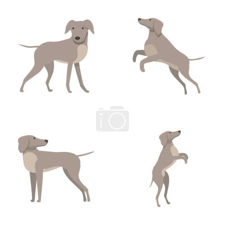 Englische Windhund-Symbole setzen Cartoon-Vektor. Netter englischer Windhund Charakter. Haustier, Tier