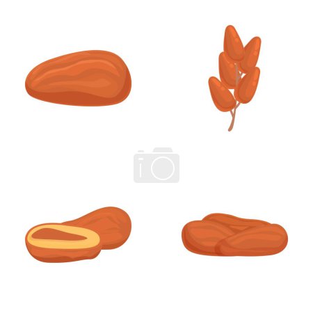 Diversas ilustraciones coloridas de frijoles secos de riñón, garbanzos y lentejas, aisladas para su uso como clipart vectorial en la cocina vegetariana y la preparación de comidas saludables