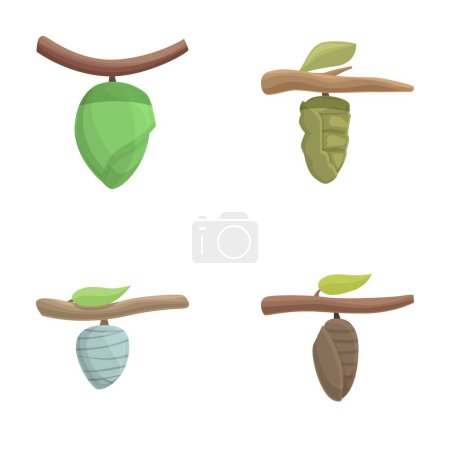 Illustration collection showing different stages of a butterfly lifecycle with cocoons