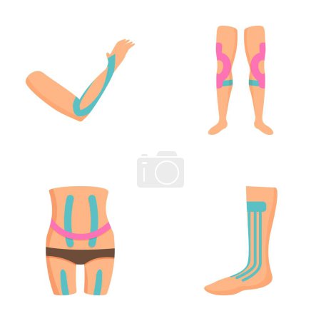 Vektor-Illustrationen, die Ellbogen, Knieschienen, Rückenstützgurt und Kompressionssocken darstellen