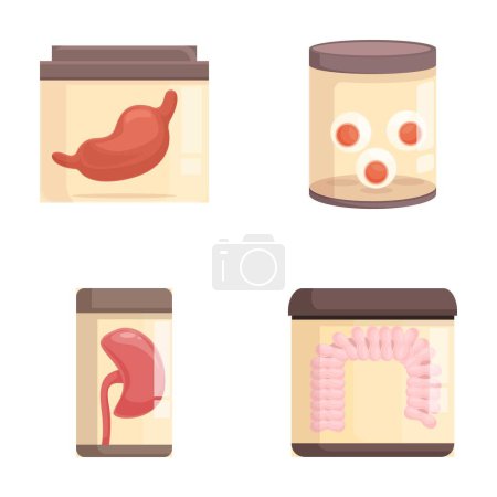 Buntes Set von Cartoon-Gläsern mit stilisierten menschlichen Organen