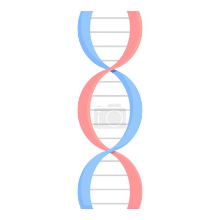 Minimalist illustration of the dna double helix in blue and red, suitable for educational content