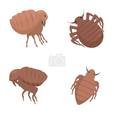 Vector illustrations of cute bed bugs in various poses, isolated on white background