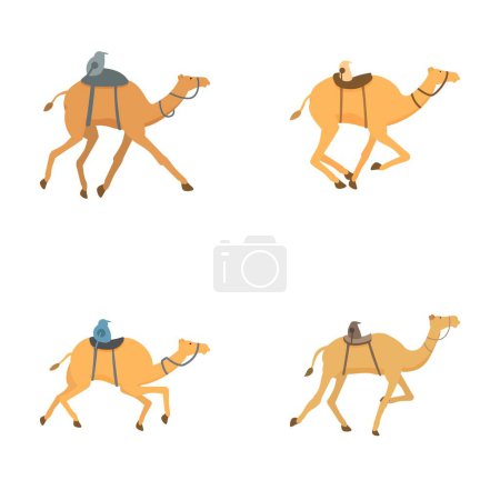 Cuatro ilustraciones vectoriales de camellos de dibujos animados con monturas, representadas en diferentes poses