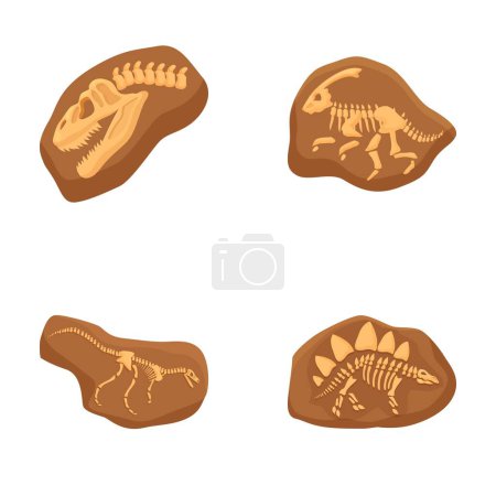Colección de fósiles detallados de esqueletos de dinosaurios ilustraciones para uso educativo o artístico