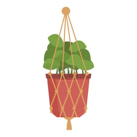Green houseplant with lush leaves is growing in a terracotta pot hanging in macrame plant hanger