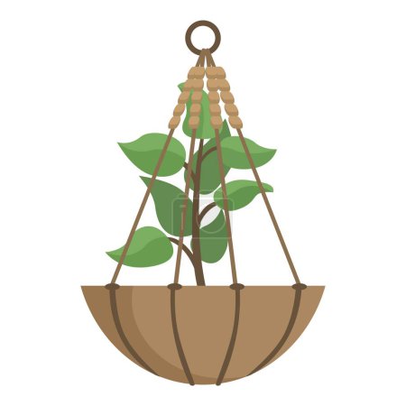 Illustration for Small tree growing in a hanging pot suspended from the ceiling by a macrame plant hanger - Royalty Free Image
