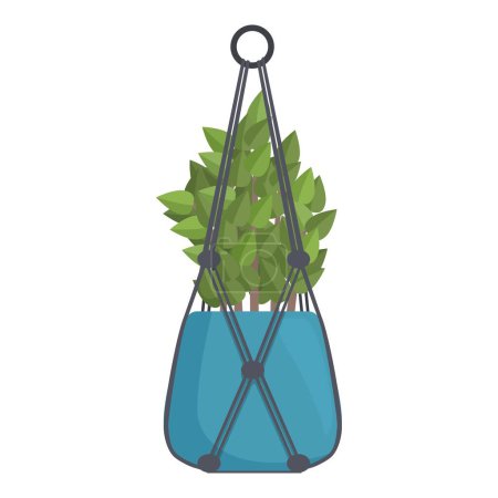 Lush green houseplant growing in a blue pot hanging from the ceiling on black ropes