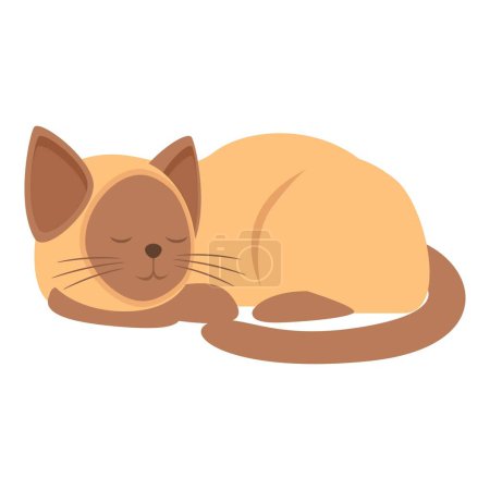 Lindo gato siamés está tomando una siesta, disfrutando de un momento tranquilo de sueño