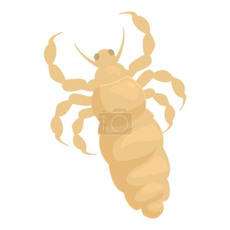 Body louse isolated on a white background, a parasite living on the human body and spreading diseases
