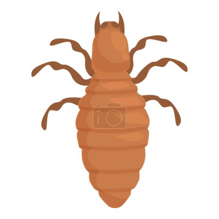 Insektenschädling mit segmentiertem Körper und sechs Beinen, die in der Ansicht von oben auf weißem Hintergrund isoliert kriechen