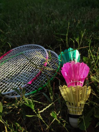 Photo for Close-up of three shuttlecocks and rackets for badminton on green grass in sunlight. Outdoor sports and recreation concept - Royalty Free Image