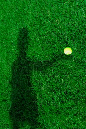 Téléchargez les photos : Ombre humaine sur herbe verte tenant une balle de tennis jaune à l'extérieur. Main tient une balle de tennis. Équipement de sport pour tennis - en image libre de droit