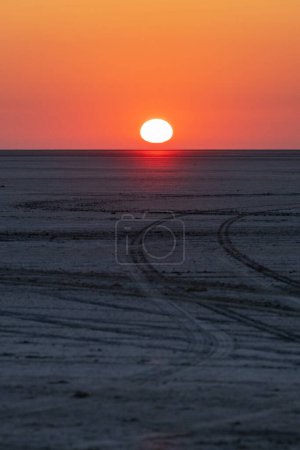 Foto de Una vista del amanecer del Makgadikgadi Pan desde la isla de Kubu en Botswana - Imagen libre de derechos