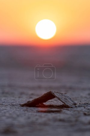 Foto de Una vista del amanecer del Makgadikgadi Pan desde la isla de Kubu en Botswana - Imagen libre de derechos