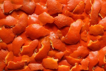 Tangerine peel pieces fixed with a close-up photo shooting. View from above.