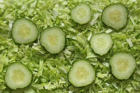 Surface of cabbage and cucumber salad fixed with a close-up photo shooting. View from above.