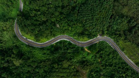 aerial top view beautyfull curve road on green forest in the rain season background, rural routes connecting cities in the north of thailand 