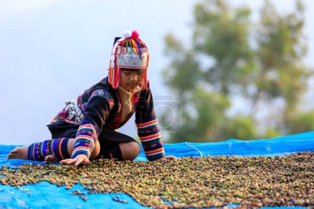 Photo for CHIANG RAI, THAILAND - February 20,2020 young girl drying coffee beans on the floor at her home north of Chiang Rai, Thailand. business and industry family and community concept - Royalty Free Image