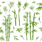 Set of illustrations of bamboo, leaves and branches, vector 
