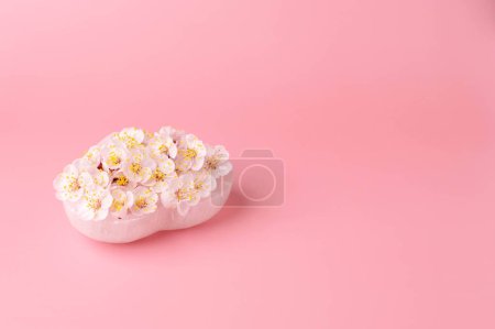 Apricot blossoms on heart-shaped white calcite plate on a soft pink background, with copy space