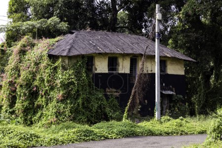 Foto de Antigua casa arruinada abandonada cubierta de vegetación en la zona rural de Bengala Occidental - Imagen libre de derechos