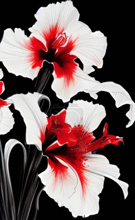 Photo for Black and red drawing of gladiolus on a white background, ink, design - Royalty Free Image