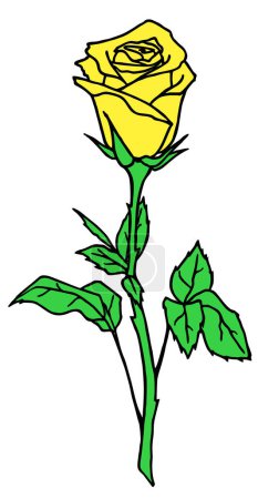 Téléchargez les illustrations : Dessin branche de rose avec fleur jaune et feuilles, élément isolé, dessin - en licence libre de droit