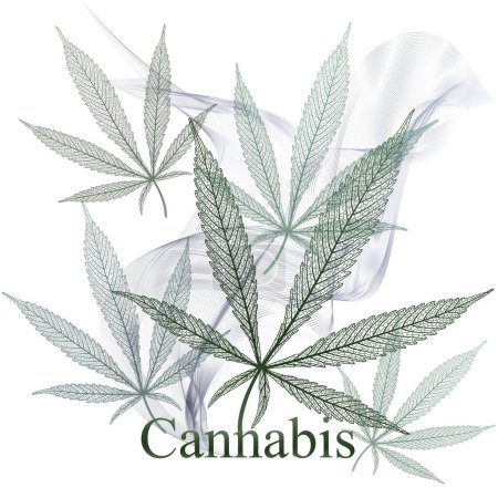 Antecedentes con humo y hoja de cannabis medicinal. Marihuana. Ilustración vectorial.