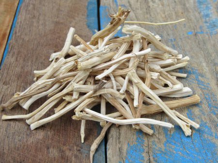 Racines d'asperges racemosus ou shatavari sur fond de bois 