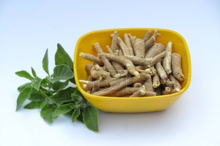 Withania somnifera or ashwagandha roots in a bowl on white background 