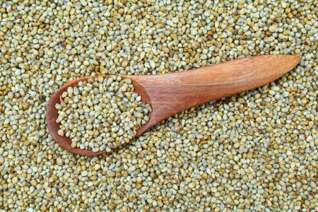 Pearl millets seeds close-up view with wooden spoon 