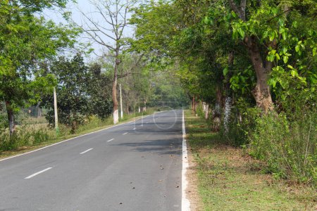 Indian road highway with forest