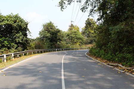 Indian highway road with forest 