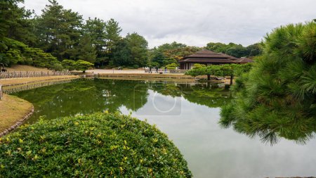 Téléchargez les photos : Pins dans le jardin japonais. Photo de haute qualité - en image libre de droit