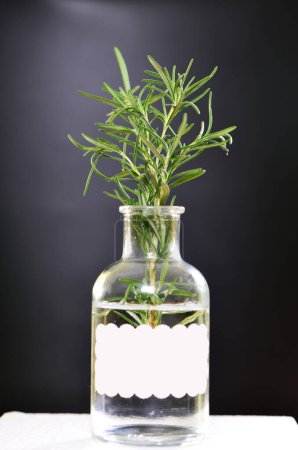 Photo for Rosemary herbs on a bottle with extract on a black background - Royalty Free Image